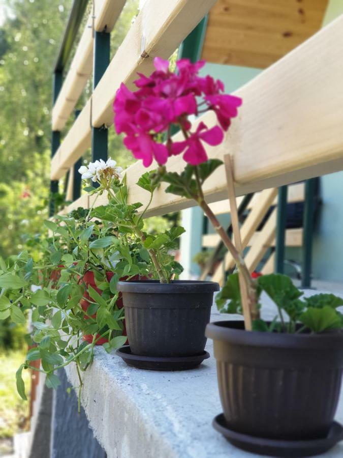 Apartmani Mir Žabljak Exterior foto